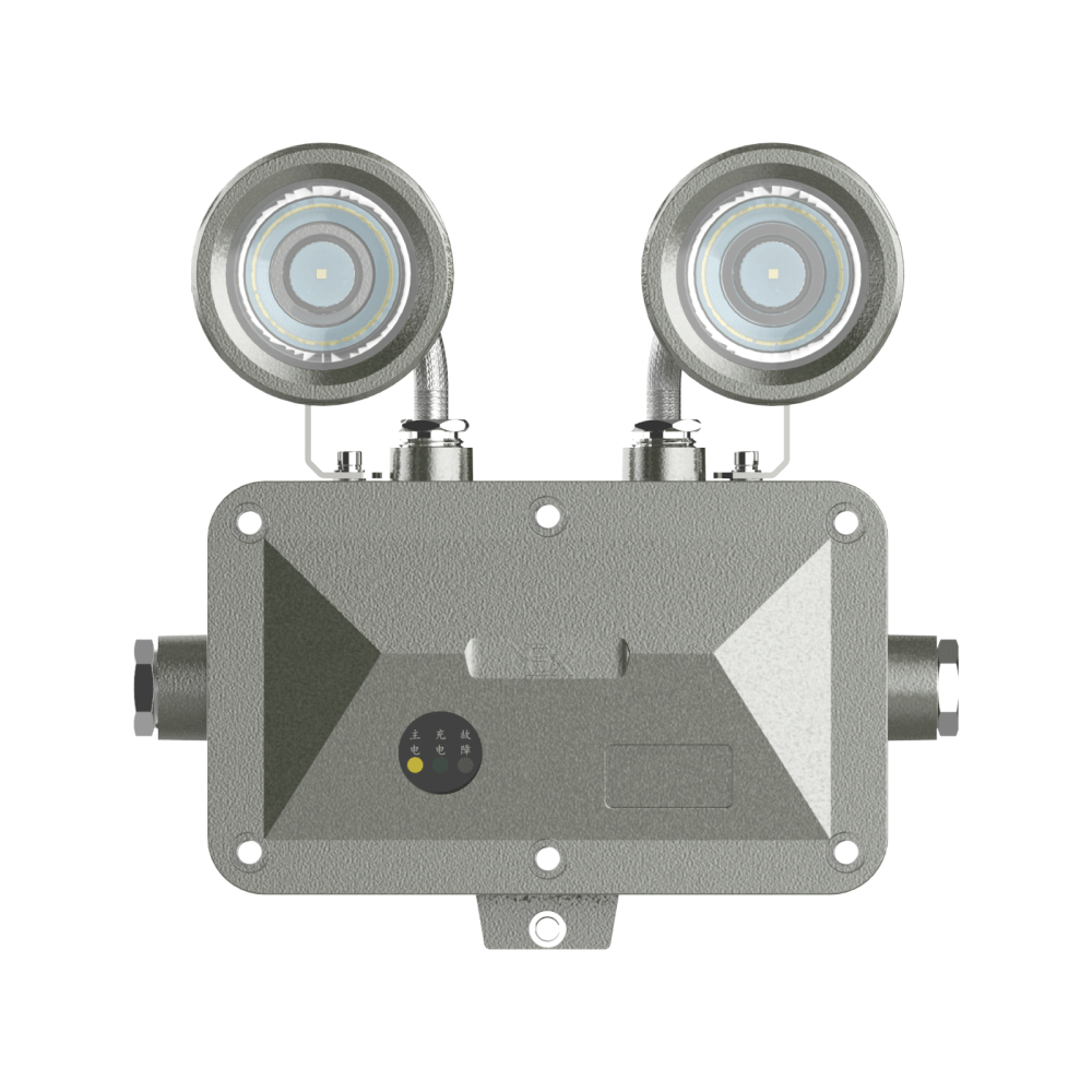 GCD8190/LED防爆应急灯/指示灯